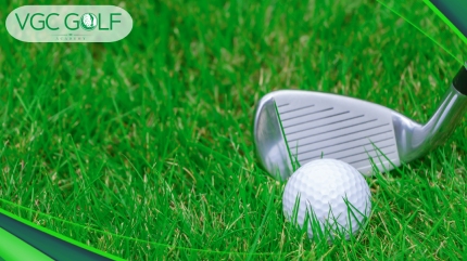 Cỏ sân golf là cỏ gì? Điểm ĐĂC BIỆT của các loại cỏ sân golf