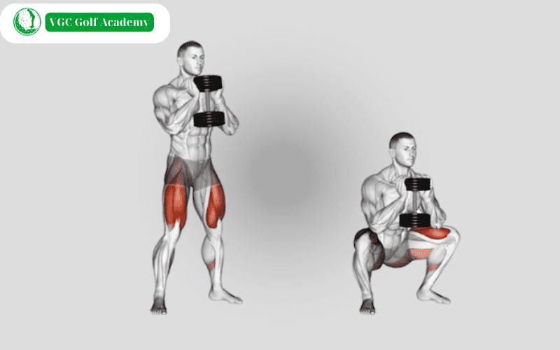 Goblet dumbbell split squats