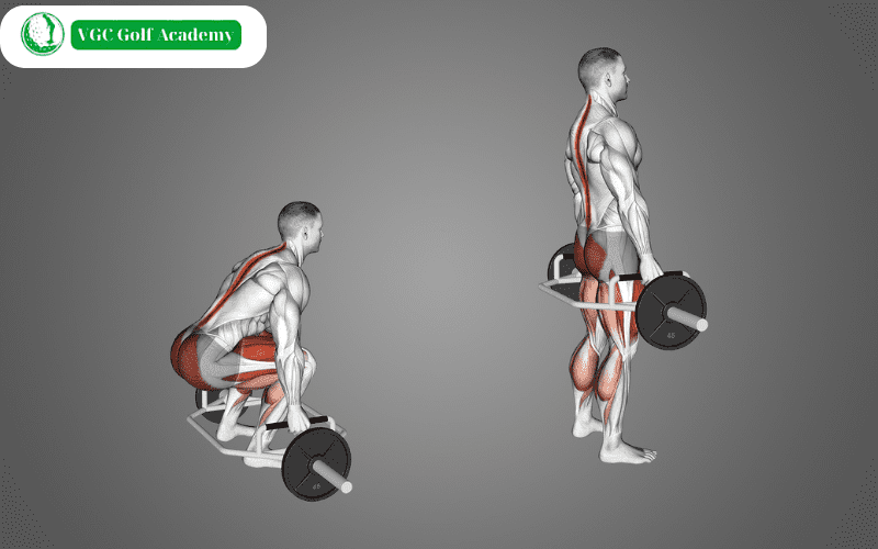 Trap bar deadlift