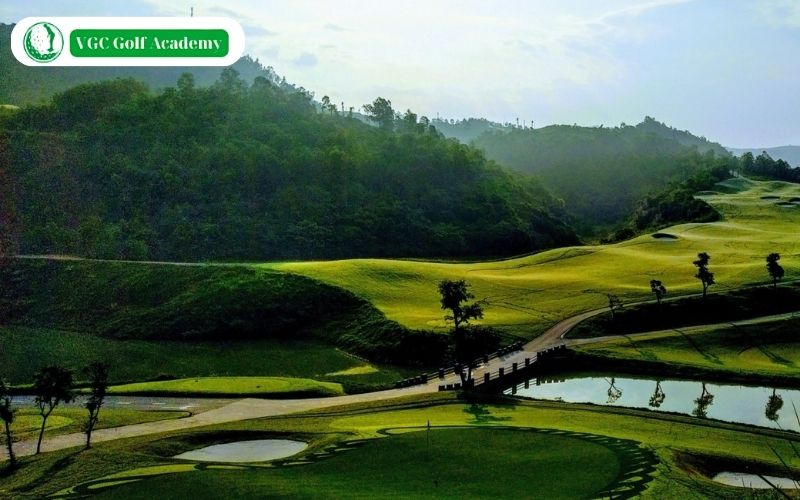 Sân golf Phượng Hoàng ở đâu và bảng giá dịch vụ sân golf